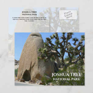 Cartão Postal Joshua Tree, Formações Rochosas Parque Nacional Jo