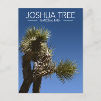Cartão Postal Joshua Tree National Park Branches Estilizados Via