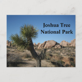 Cartão Postal Joshua Tree National Park California Viagem USA