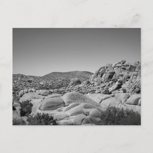 Cartão Postal Joshua Tree Rocky Landscape - Fotografia (Frente)