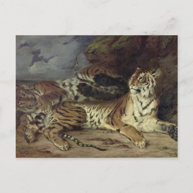 Cartão Postal Jovens tigre brincando com sua mãe, 1830 (óleo lig (Frente)