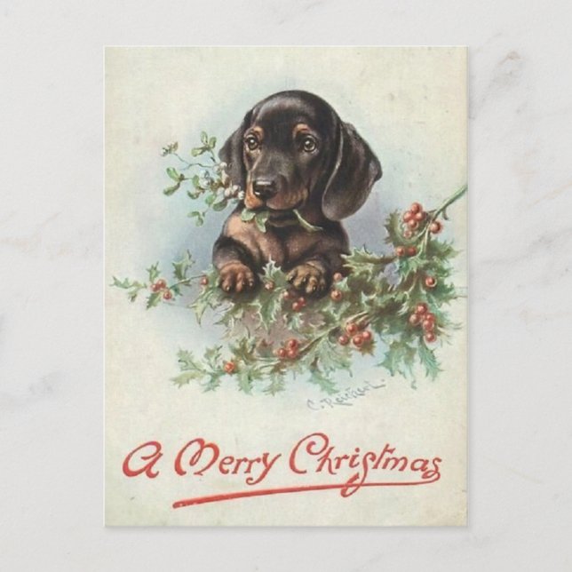 Cartão Postal Joyeux Noël chien Teckel (Frente)