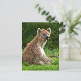 Cartão Postal Joyful Hyena Amidst Greenery