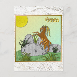 Cartão Postal Judaica 12 Tribos Israel Naftali