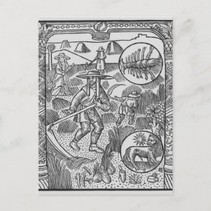 Cartão Postal Julho, produção de feno, Cancer