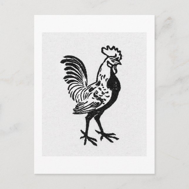 Cartão Postal Julie de Graag (Frente)