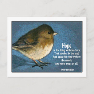 CARTÃO POSTAL JUNCO BIRD COM DIZER