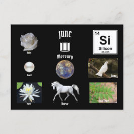 Cartão Postal June Postcard