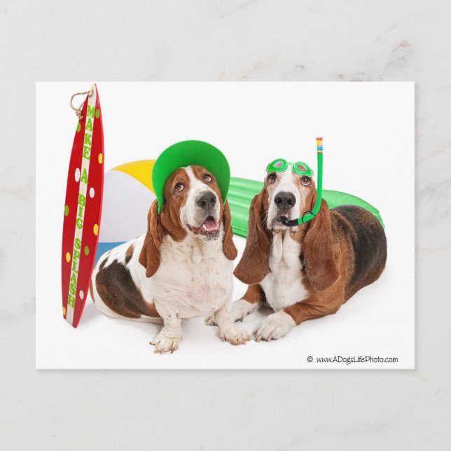 Cartão Postal Junho (Frente)