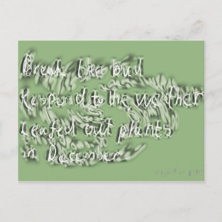 Cartão Postal junho