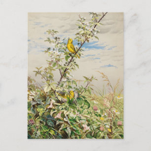 Cartão Postal Junho   Fidelia Bridges