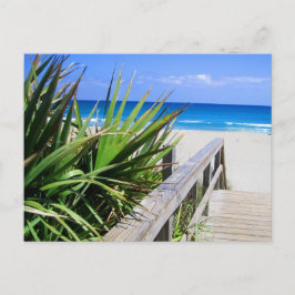 Cartão Postal Juno Beach Florida