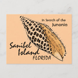 Cartão Postal Junonia shell Sanibel Island humorista postal