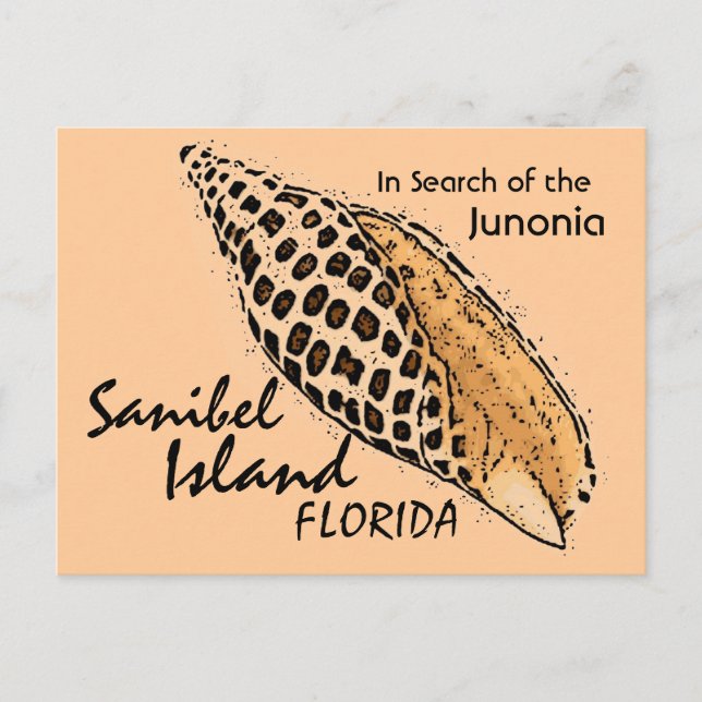 Cartão Postal Junonia shell Sanibel Island humorista postal (Frente)