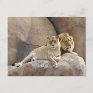 Cartão Postal Juntos