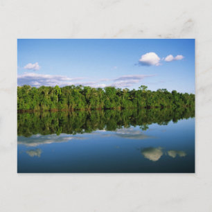 Cartão Postal Juruena, Brasil. Margem florestada do rio refletid