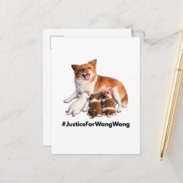 Cartão Postal Justice for Wang Wang