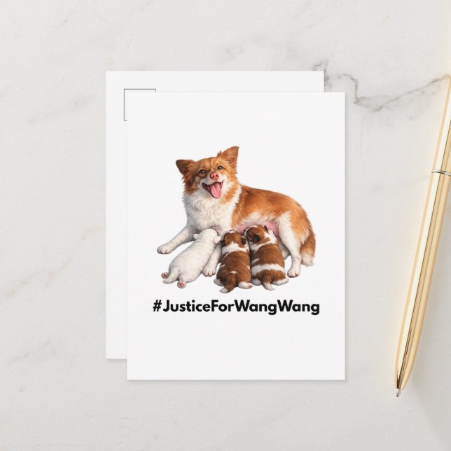 Cartão Postal Justice for Wang Wang (Frente/Verso In Situ)