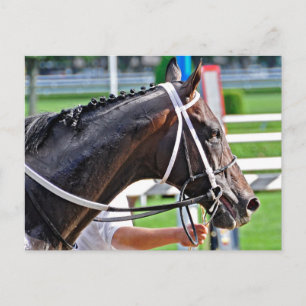 Cartão Postal Justin Phillip captura Vanderbilt