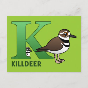 Cartão Postal K é para Killdeer