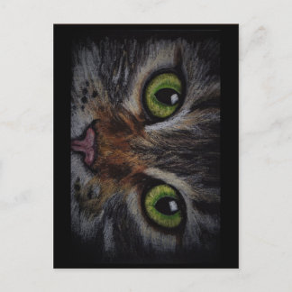 Cartão Postal Kaart kat