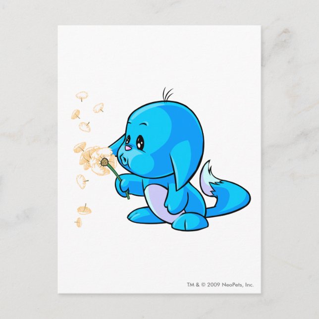 Cartão Postal Kacheek Blue (Frente)
