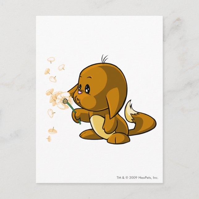 Cartão Postal Kacheek Brown (Frente)