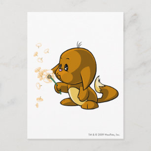 Cartão Postal Kacheek Brown