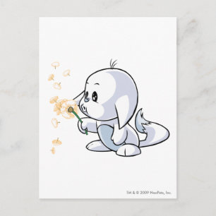 Cartão Postal Kacheek White