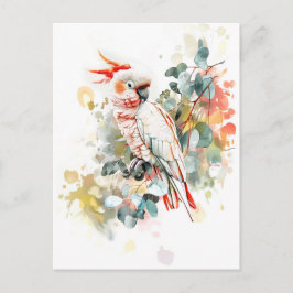 Cartão Postal Kakadu, Cappado Vermelho, com Aquarela