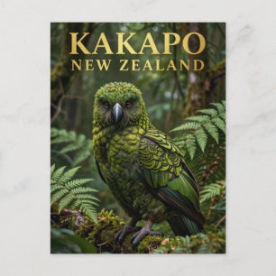 Cartão Postal 🦜 Kakapo Ave Nativa da Nova Zelândia