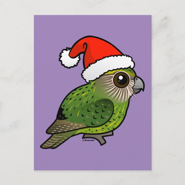 Cartão Postal Kakapo Claus (Frente)