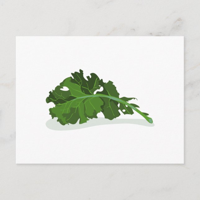Cartão Postal Kale Leaf (Frente)