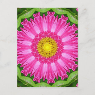 Cartão Postal Kaleidoscope Aster
