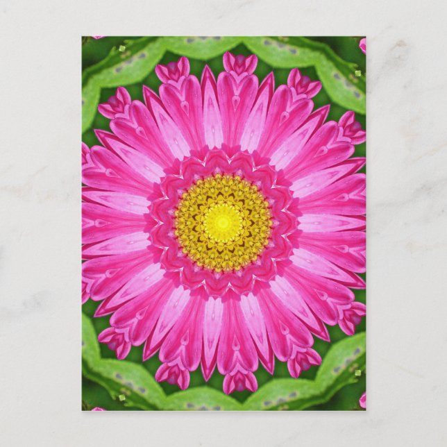 Cartão Postal Kaleidoscope Aster (Frente)