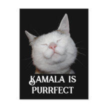 Kamala é Purrfect