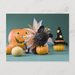 Cartão Postal Kanagawa, Honshu, Japão