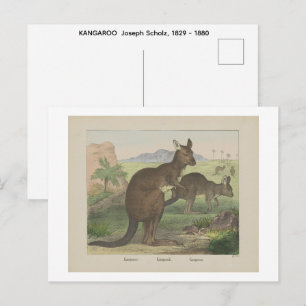 Cartão Postal KANAROO Joseph Scholz, 1829 - 1880