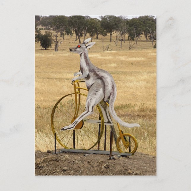 Cartão Postal Kangaro On Wheels (Frente)