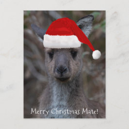 Cartão Postal Kangaroo Face Santa Hat Feliz Natal