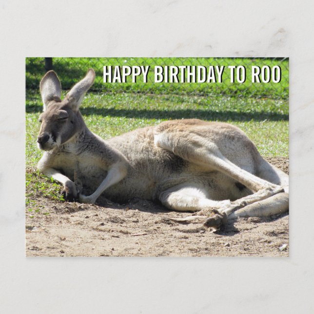 Cartão Postal Kangaroo Happy Birthday - Cartão-postal para Roo (Frente)