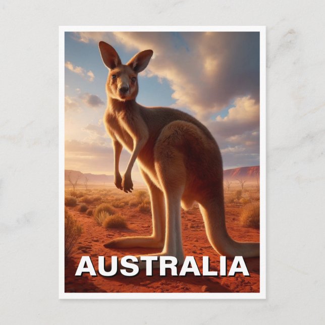 Cartão Postal Kangaroo no Exterior da Austrália (Frente)