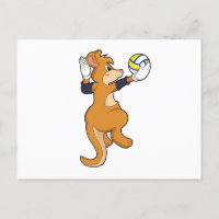 Kangaroo nos Esportes de Voleibol