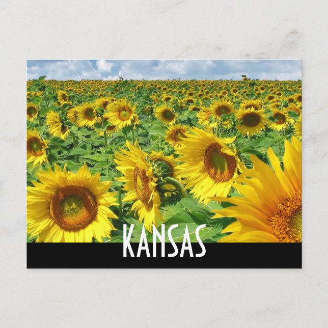 CARTÃO POSTAL KANSAS (Frente)