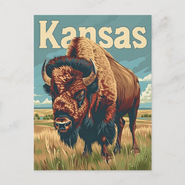 Cartão Postal Kansas American Bison (Frente)