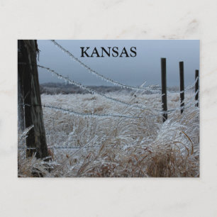 Cartão Postal Kansas Ice numa cerca