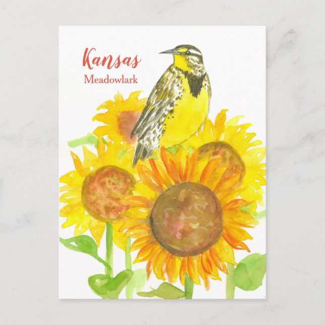 Cartão Postal Kansas Meadowlark Sunflower (Frente)