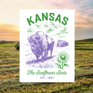 Cartão Postal Kansas O Estado do Girassol Est. 1861 Boi e Fazend