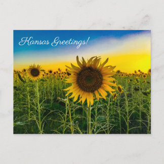 Cartão Postal Kansas Saudações Sunflower Field