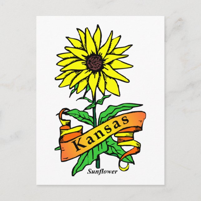 Cartão Postal Kansas State Flower (Frente)